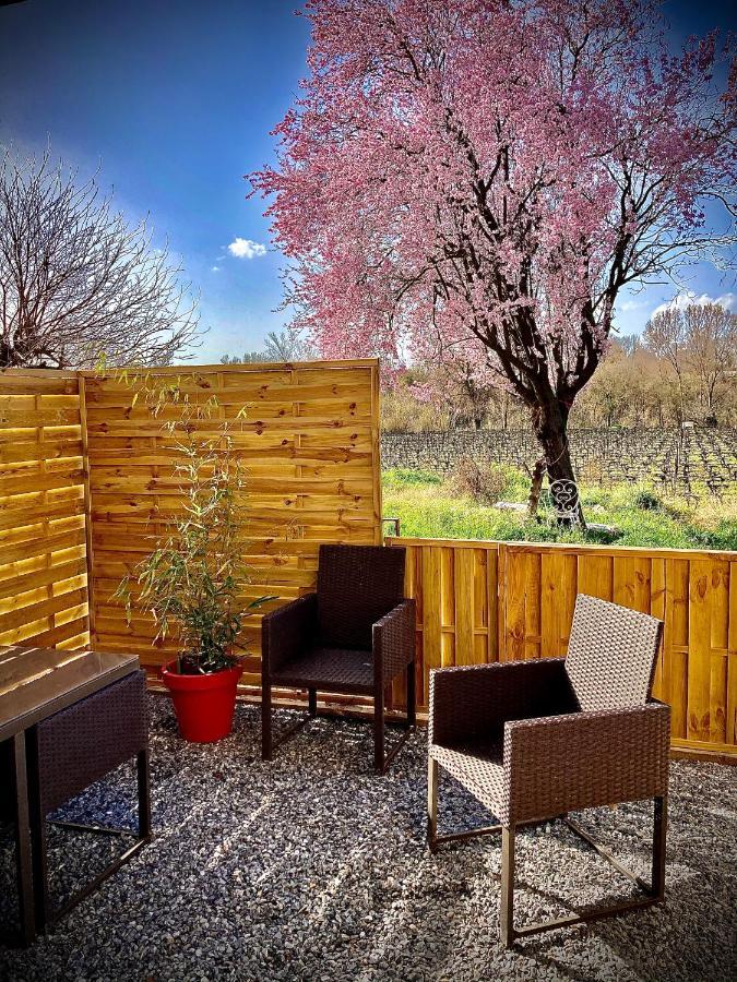 Lodging Au Milieu Des Vignes & Des Etoiles Saint-Jean-de-Fos Dış mekan fotoğraf