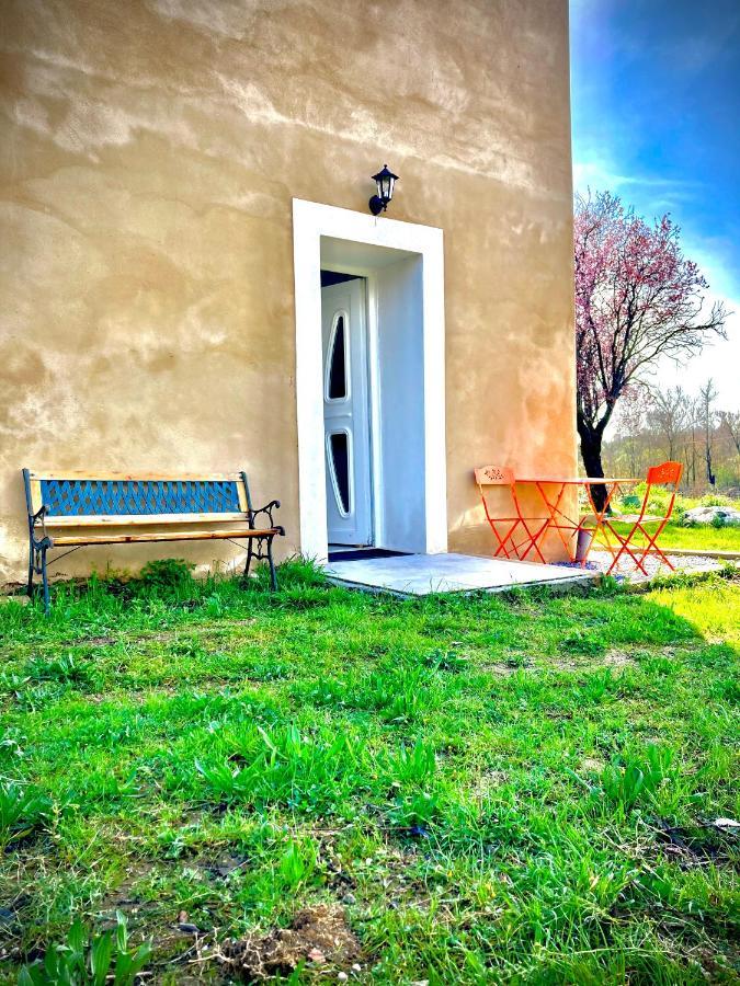 Lodging Au Milieu Des Vignes & Des Etoiles Saint-Jean-de-Fos Dış mekan fotoğraf